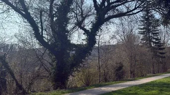 Sanierungsbedürftiges NATURIDYLL in LINZ/Puchenau (BUNGALOW IN U FORM)