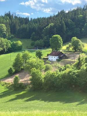 Sacherl in Rohrbach
